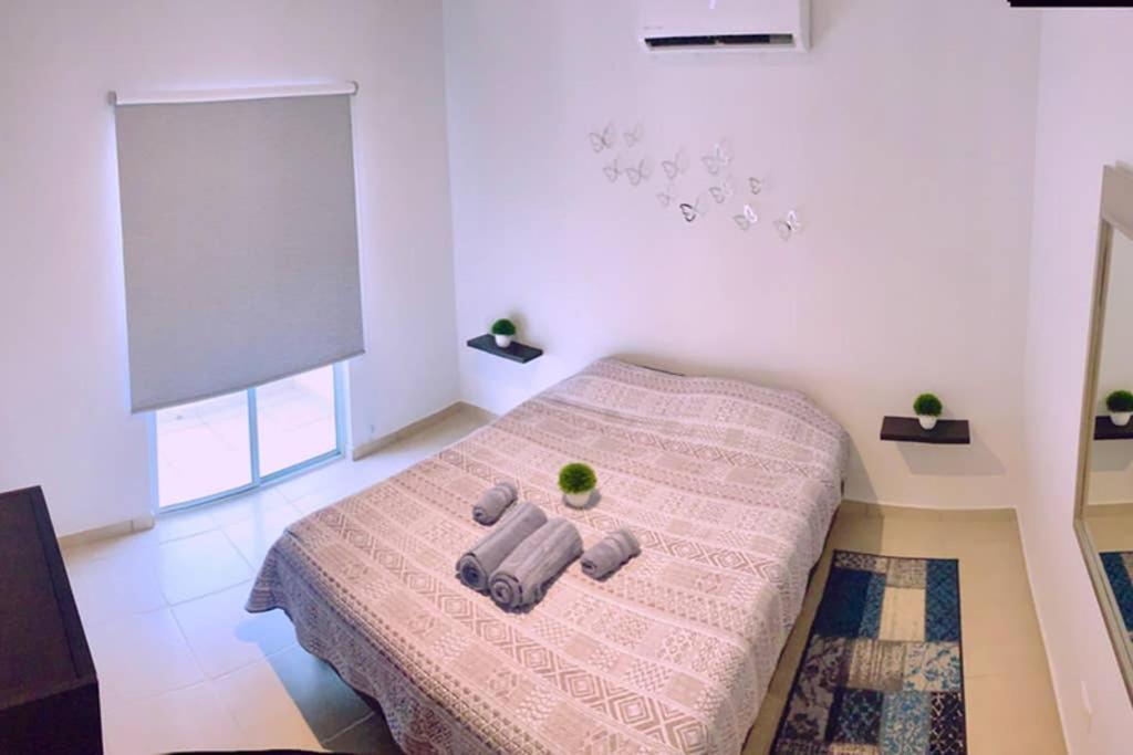Luna Pacific Los Cabos - Condo Near Beach Cabo San Lucas Zewnętrze zdjęcie